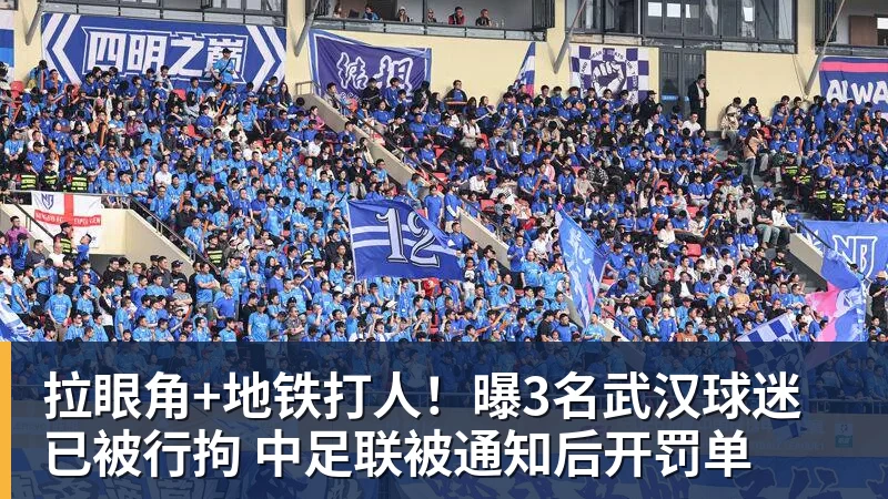 中超前25轮 ！下课教练里面山东泰山韩鹏 申花斯卢茨基等 谁更加可惜 - v66体育 · 权威体育数据平台