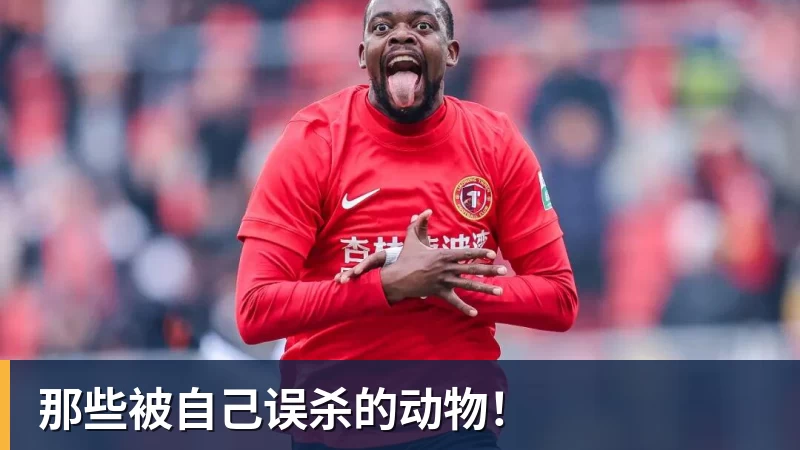火箭训练营首日:范弗利特确认出战中国赛 乌度卡复盘上赛季得失 - v66体育 · 权威体育数据平台